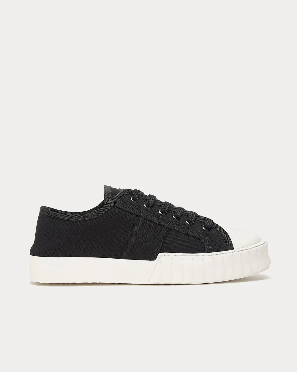 Divid Black & White Low Top Sneakers
